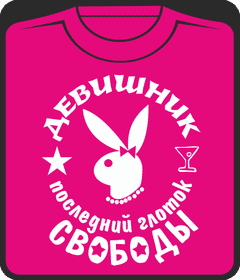 Прикольные футболки: девишник - последний глоток свободы